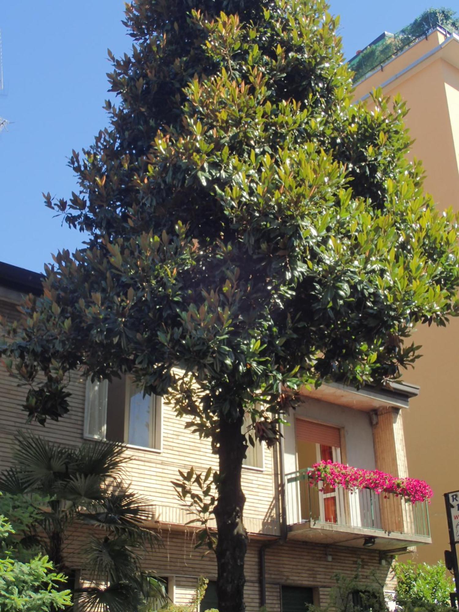 Hotel Brivio Milán Exterior foto